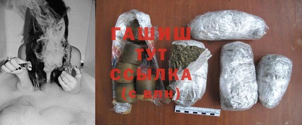 сатива Горнозаводск