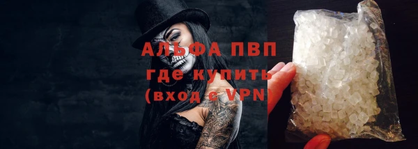 сатива Горнозаводск