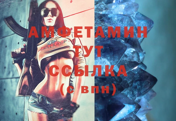 молекула духа Вяземский
