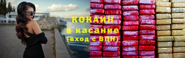 сатива Горнозаводск